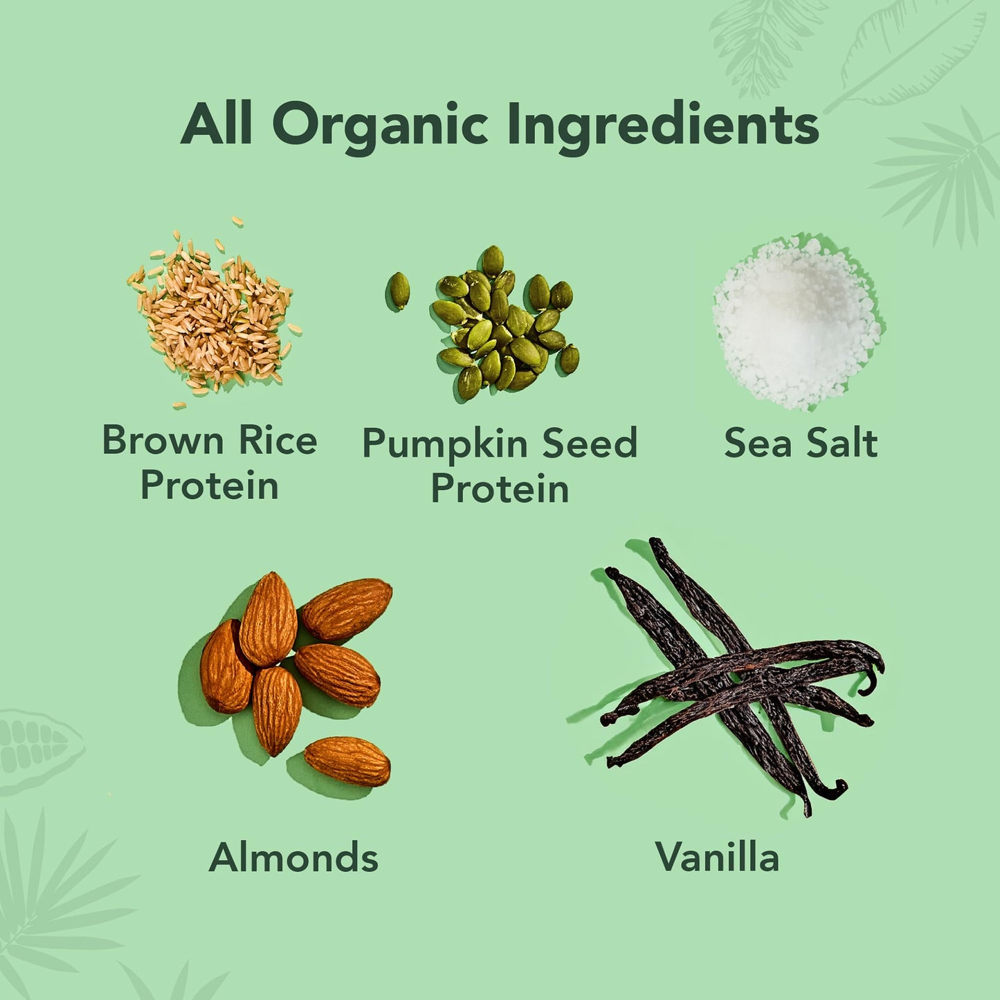 ALOHA Organic Plant Protein Bars 12pk