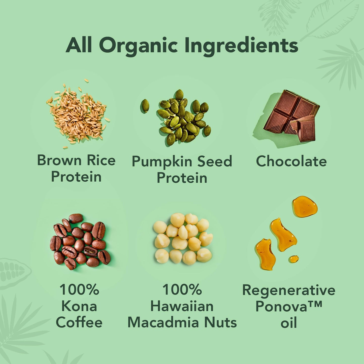 ALOHA Organic Plant Protein Bars 12pk