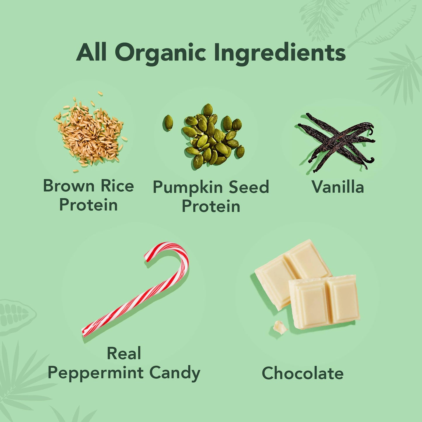 ALOHA Organic Plant Protein Bars 12pk
