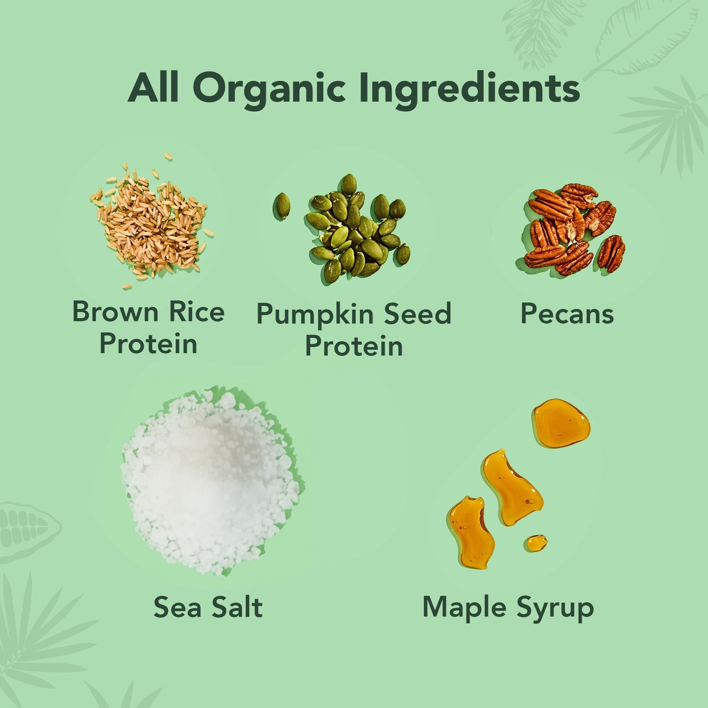ALOHA Organic Plant Protein Bars 12pk