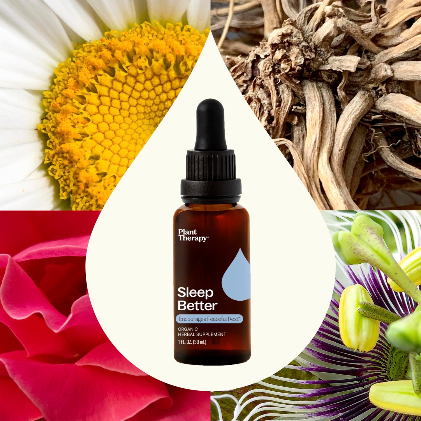 Plant Therapy Total Wellness Trio Immunity Boost Drops