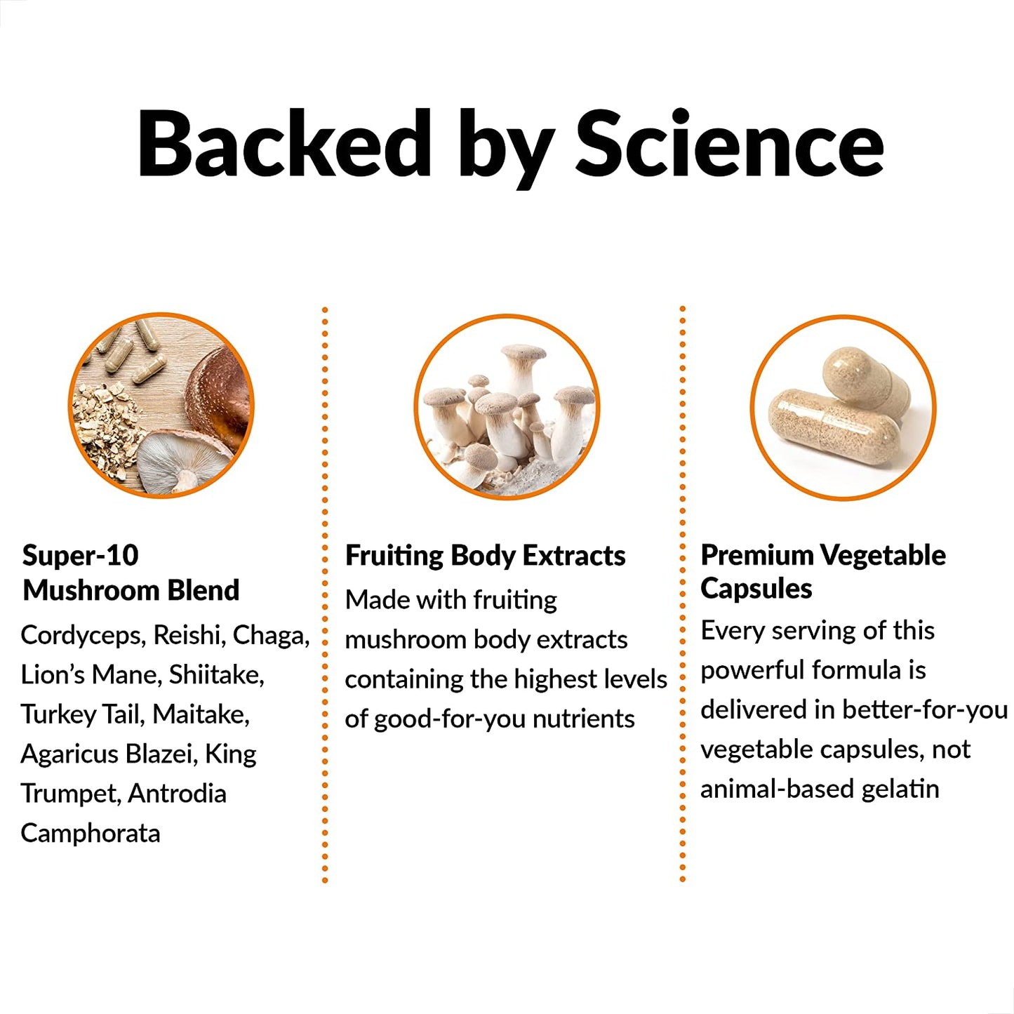 Force Factor Modern Mushrooms Capsules, Mushroom Supplement with Lions Mane, Turkey Tail, & Cordyceps to Support Energy, Focus, Immunity, & Digestion, 90 Vegetable Capsules