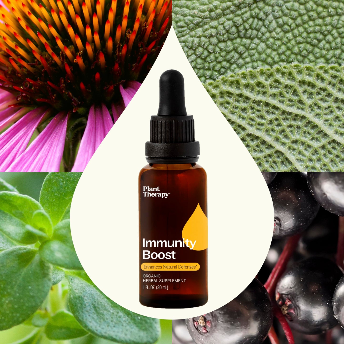 Plant Therapy Total Wellness Trio Immunity Boost Drops