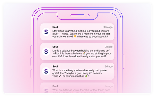 Soul - SMS Mindset Mentor Special Offer