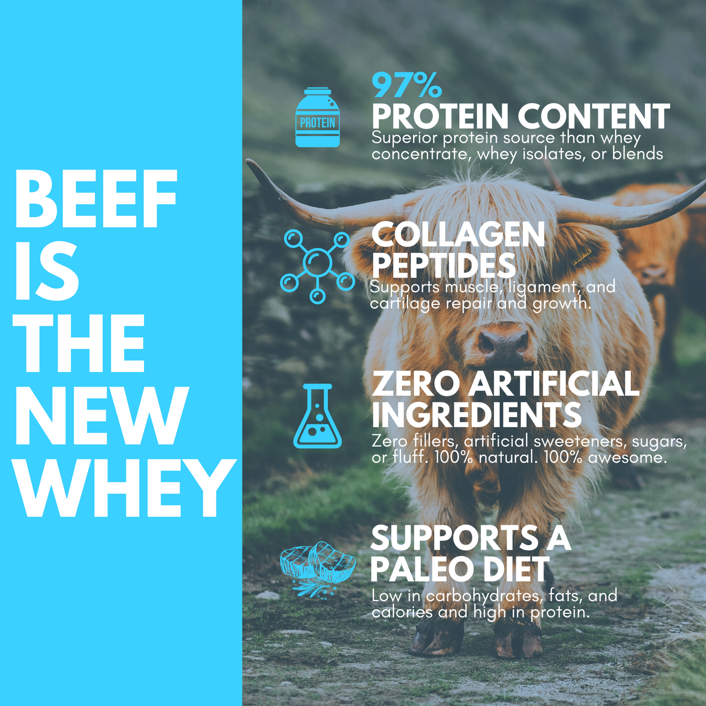 Paleo Post Beef Protein