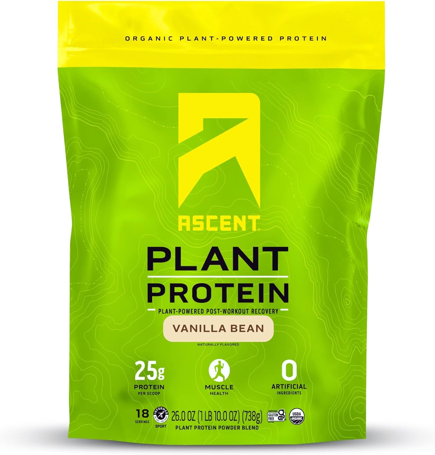 Ascent Plant Based Protein Powder - Non Dairy Vegan Protein