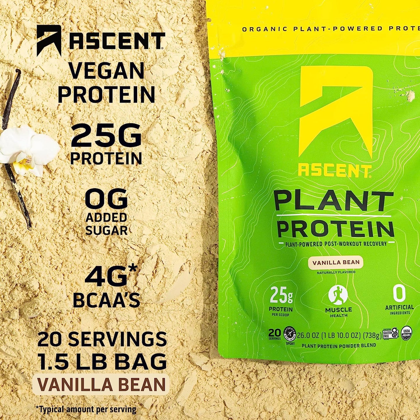 Ascent Plant Based Protein Powder - Non Dairy Vegan Protein