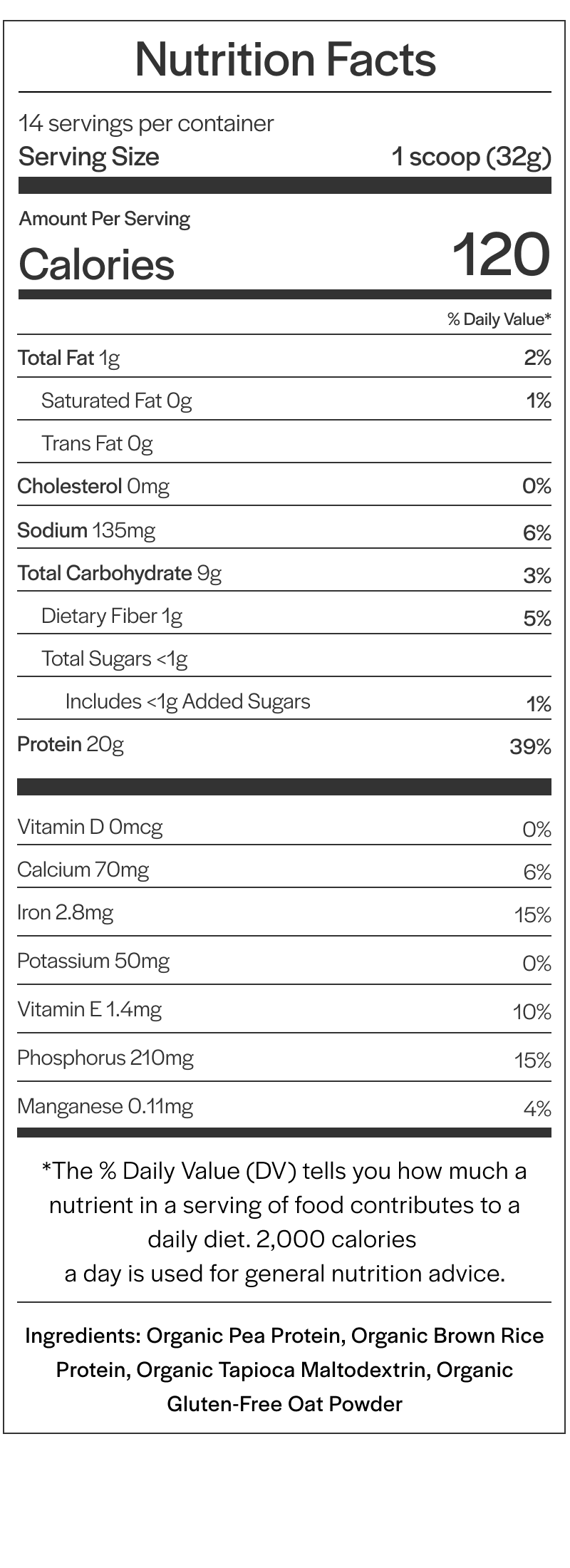 Plant/Vegan Protein Powder for Building Muscle