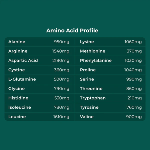 Cymbiotika Plant Protein