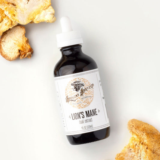 Lion's Mane Dual Extract Tincture by Hodgins Harvest